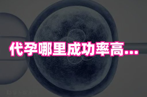 武汉助孕网站 2